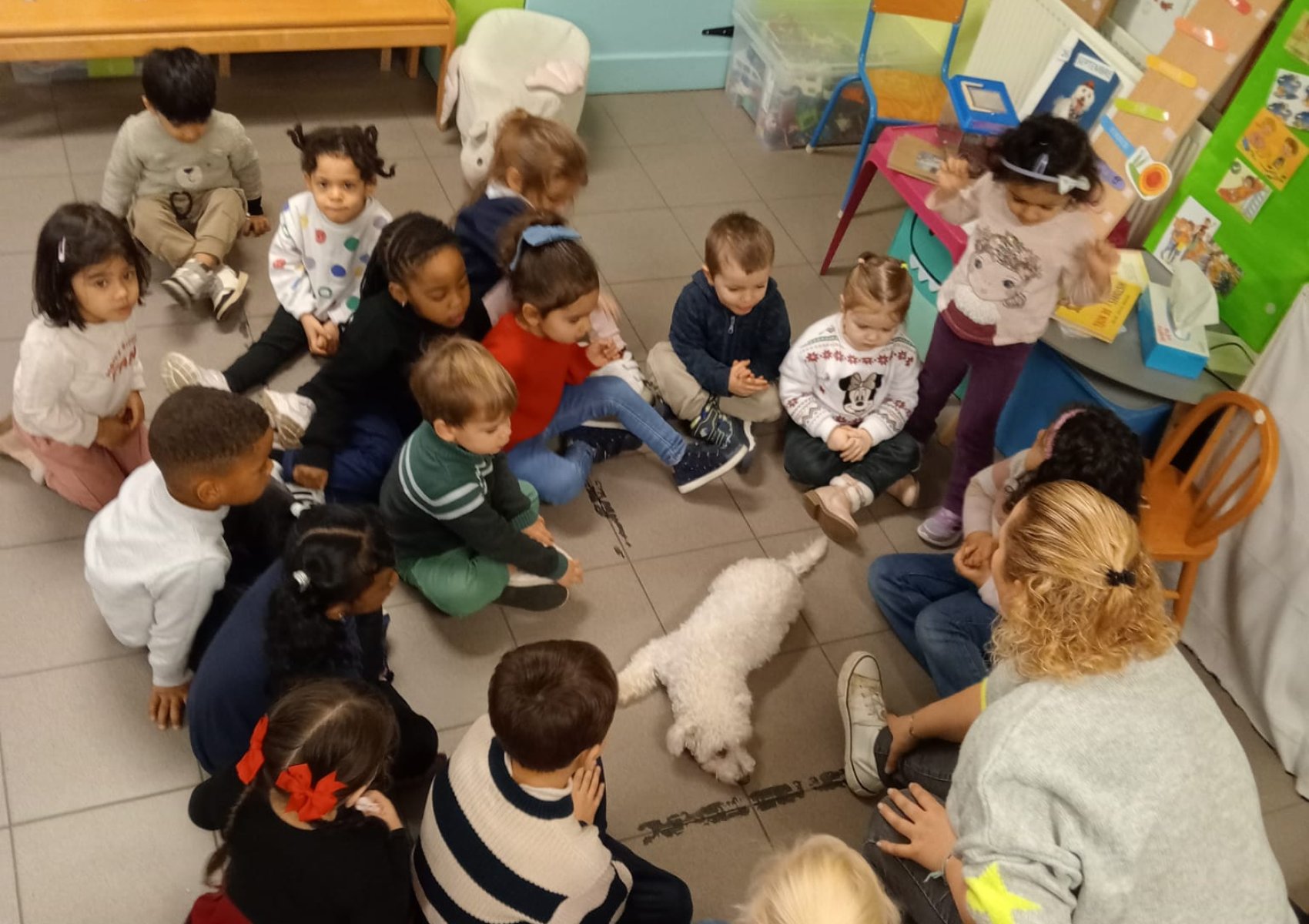 whatsapp image 2026-01-16 at 22.47.23 2